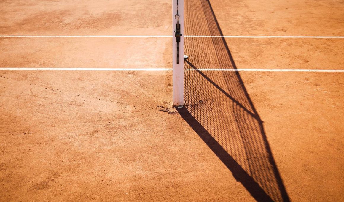 Ile zarabia się podczas zawodowego uprawiania tenisa?